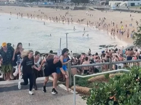 Ahmed al Ahmed, a 43-year-old shopkeeper, disarmed one of the attackers in Bondi Beach, Australia, despite being shot twice.