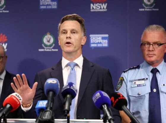 Australian Prime Minister Anthony Albanese reports on the progress of the investigation at a press conference.