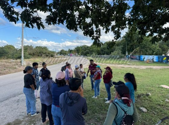 En Teya es intensa la búsqueda de un hombre extraviado desde hace algunos días, en la que incluso participan perros